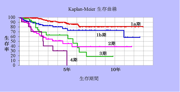 Kaplan-Meier 生存曲線